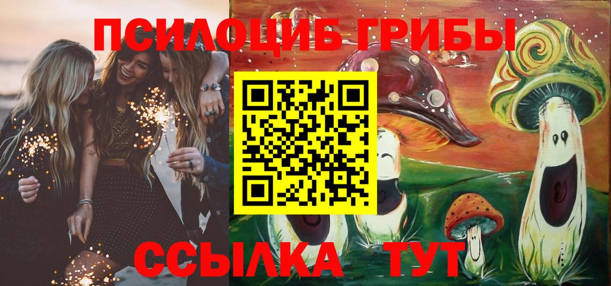 Галлюциногенные грибы Psilocybine cubensis Славянск-на-Кубани