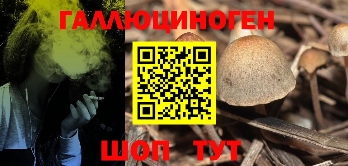 Псилоцибиновые грибы мицелий  Галлюциногенные грибы мухоморы  Вход с VPN  Славянск-на-Кубани 