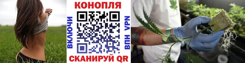 мега сайт darknet формула Славянск-на-Кубани Конопля Amnesia наркошоп